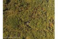 Additional image 40 of 298 Stony Kill Rd, Accord, NY, 12404