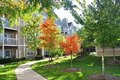 7030 Gentle Shade Rd, Columbia, MD, 21046 photo 4