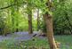 Additional image 12 of Lagham Park, South Godstone, Godstone, Surrey, RH9