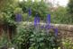 Additional image 39 of Eden Grove, Middridge, Newton Aycliffe