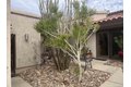 Additional image 30 of 4683 Desert Vista Dr, Borrego Springs, CA, 92004