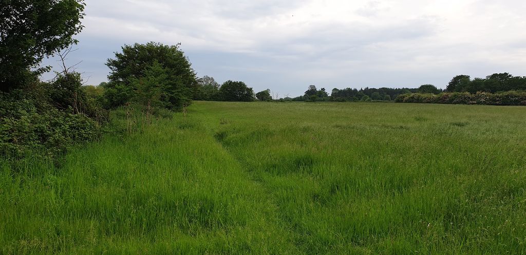 Land for saleCommon Road, Dickleburgh IP21 photo 5