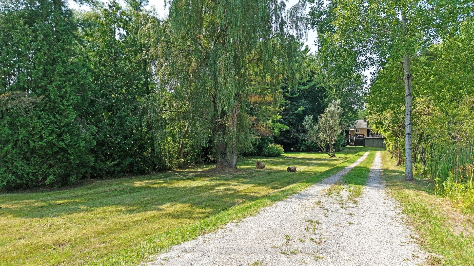 Additional image 6 of 15600 Weston Road, King, ON, L7B 0L1