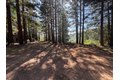 Additional image 4 of 7175 Redwood Retreat Rd, Gilroy, CA, 95020