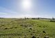 Additional image 8 of Bankfoot, Otterburn, Newcastle Upon Tyne