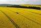 Additional image 23 of Clinkstone & Stodfold Farms, Huntly, Aberdeenshire, AB54