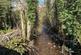 Additional image 4 of Gwrhyd Road, Pontardawe SA8