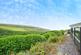 Additional image 14 of Woolacombe, Devon, EX34