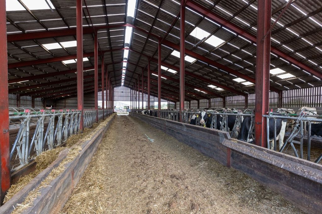 Additional image 15 of Country house for saleLot 1 - Whattall Farm, Colemere, Ellesmere SY12