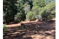 Additional image 29 of 7175 Redwood Retreat Rd, Gilroy, CA, 95020