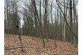Winding Stair Rd, Hammondsport, NY, 14840 photo 4