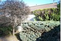 Additional image 21 of 1309 D Street Ext, Petaluma, CA, 94952