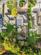 Additional image 26 of Priory Road, Bicknacre, Chelmsford