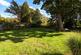 Additional image 16 of Silver Birches Way, Elstead, Farnham, Surrey, GU8