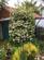 Additional image 38 of Eden Grove, Middridge, Newton Aycliffe