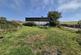 Additional image 26 of Blaenplwyf