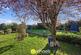Additional image 24 of St Johns Road, Colchester, Colchester, CO4