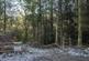 Additional image 14 of Coed Nant Y Beiglo (about 4 and a third acres), Llanfyllin, Powys SY22