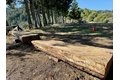 Additional image 28 of 7175 Redwood Retreat Rd, Gilroy, CA, 95020