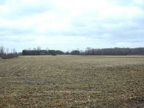 3329 11 Line, Bradford West Gwillimbury, ON, L3Z 3N5