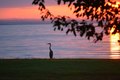 Additional image 57 of 8781 Tilghman Island Rd, Wittman, MD, 21676