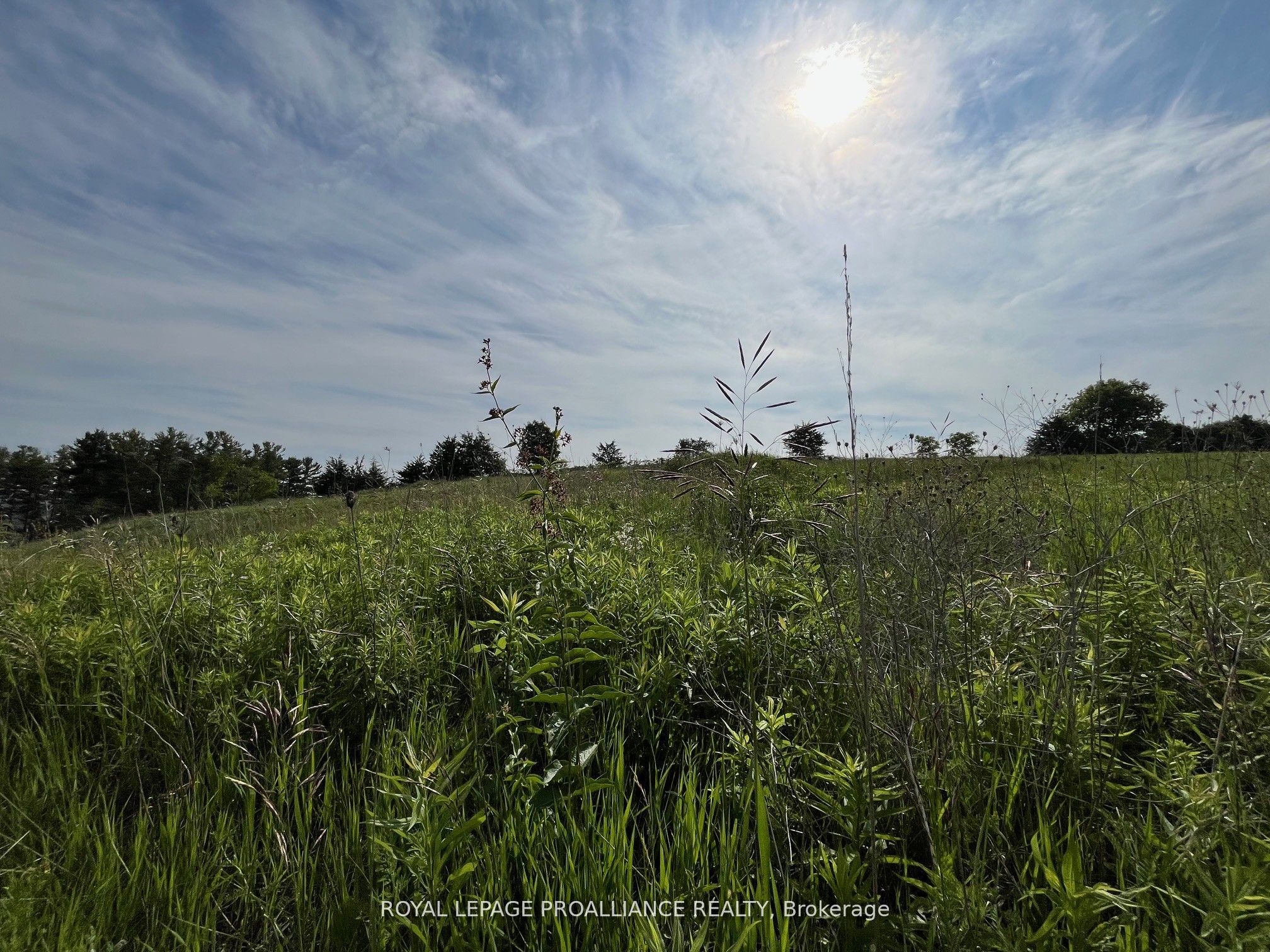 Additional image 4 of Lot 24 Mccarty Drive, Cobourg, ON, K9A 4J9