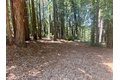 Additional image 25 of 7175 Redwood Retreat Rd, Gilroy, CA, 95020