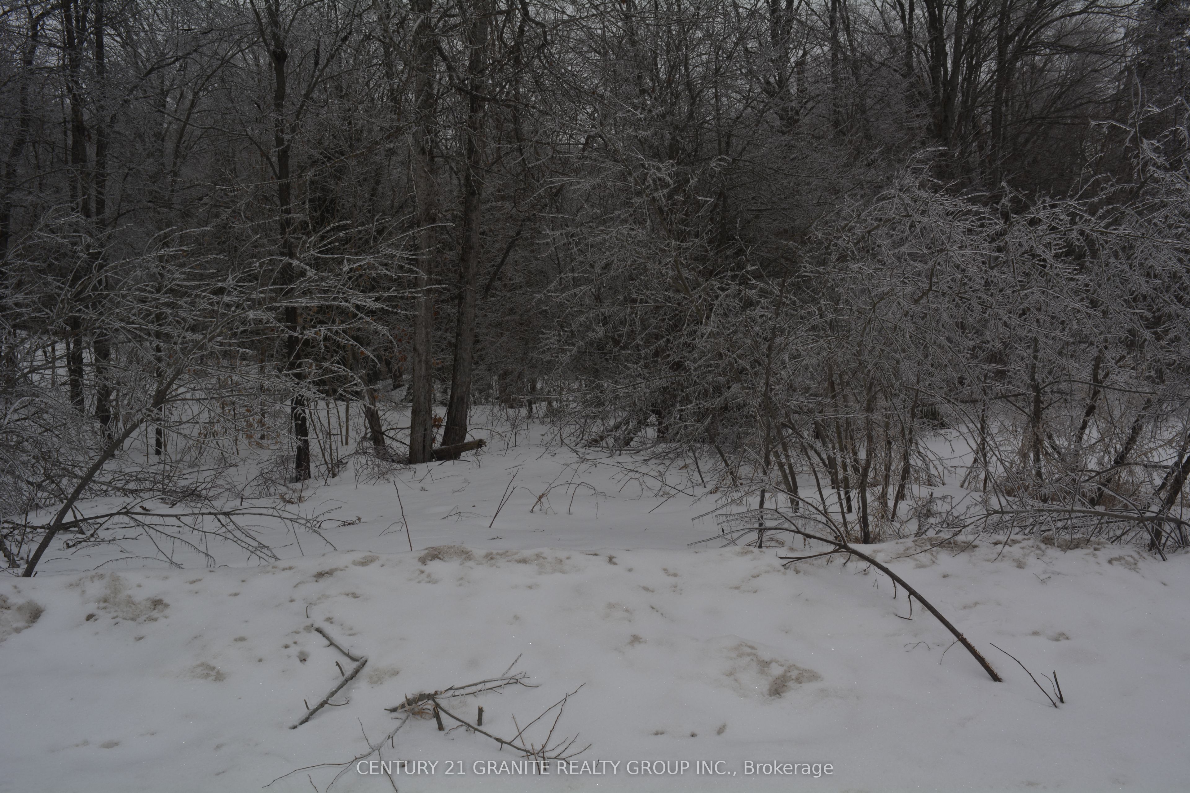 Additional image 2 of 0 Sucie Road, Highlands East, ON, K0L 2A0