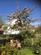 Additional image 31 of Eden Grove, Middridge, Newton Aycliffe