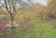 Additional image 11 of Windy Ridge, Toft Hill, Tumby
