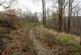 Additional image 8 of Coed Y Mwyn (just under 13 acres), Rhydymwyn, Mold, Flintshire CH7