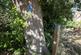 Additional image 8 of Coed Castell (Castle Wood) (3 and a quarter acres), Mochdre, Colwyn Bay, Conwy LL28