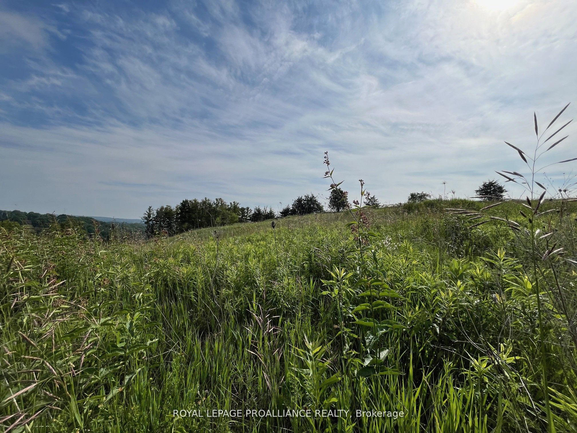 Additional image 5 of Lot 24 Mccarty Drive, Cobourg, ON, K9A 4J9