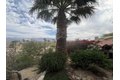 Additional image 26 of 4683 Desert Vista Dr, Borrego Springs, CA, 92004