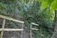 Additional image 11 of Coed Castell (Castle Wood) (3 and a quarter acres), Mochdre, Colwyn Bay, Conwy LL28