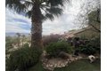 Additional image 23 of 4683 Desert Vista Dr, Borrego Springs, CA, 92004