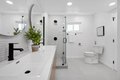 Additional image 31 of 2519 Lincoln Ave, Belmont, CA, 94002