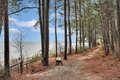 Additional image 26 of 21620 Spyglass Way, Lexington Park, MD, 20653