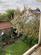 Additional image 37 of Eden Grove, Middridge, Newton Aycliffe
