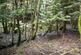 Additional image 12 of Coed Nant Y Beiglo (about 4 and a third acres), Llanfyllin, Powys SY22