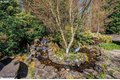 Additional image 31 of 2115 S 26th Ave, Ridgefield, WA, 98642