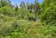 Additional image 14 of Hutton Village, North Yorkshire TS14