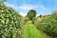 Bell Lane, Ditton, Aylesford