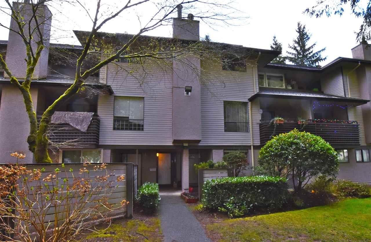 10527 Holly Park Lane, Surrey, BC, V3R 6X8