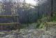 Additional image 7 of Coed Gwy (about 6 and a quarter acres), Llangurig, Powys SY18
