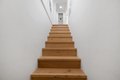 Additional image 50 of 2519 Lincoln Ave, Belmont, CA, 94002