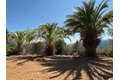 Additional image 10 of 7175 Redwood Retreat Rd, Gilroy, CA, 95020