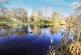 Additional image 13 of Grayling Walk, Wednesfield, Wolverhampton