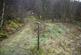Additional image 12 of Coed Gwy (about 6 and a quarter acres), Llangurig, Powys SY18