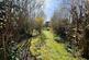 Additional image 11 of The Borough, Downton, Salisbury, Wiltshire, SP5